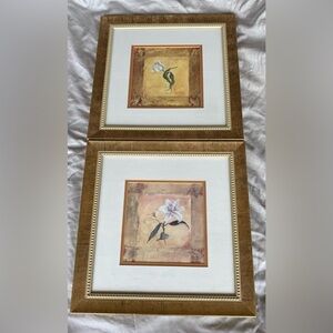 Pair of Shari White NYC Floral Framed Prints